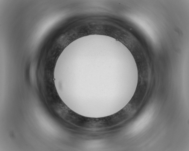 X0000112050189200909010950