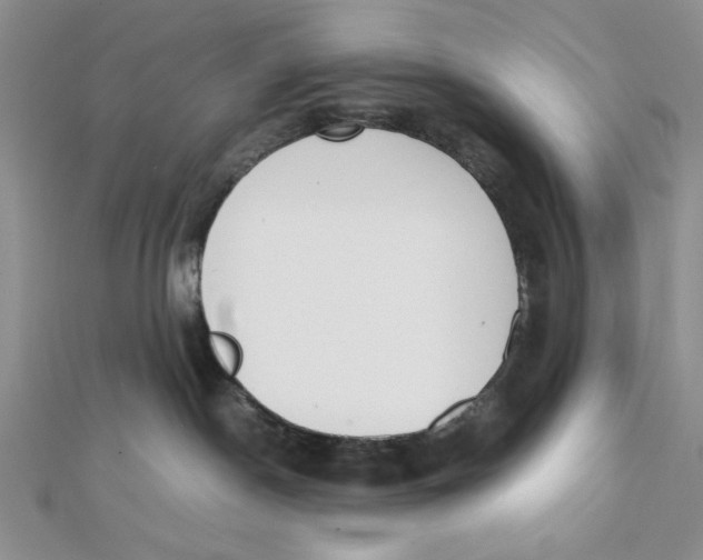X0000112050190200909010950