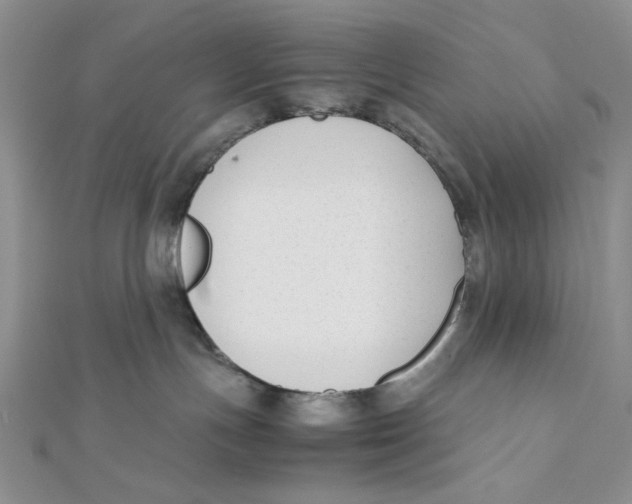 X0000112050191200909010950