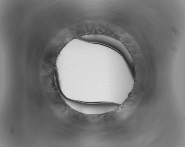 X0000112050192200909010950