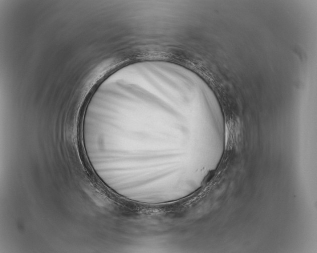 X0000112050195200909010949
