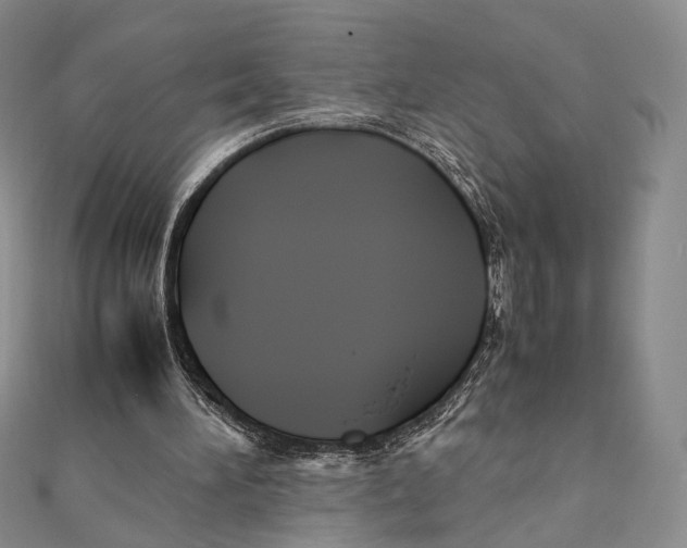 X0000112050196200909010949