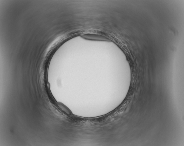 X0000112050197200909010949
