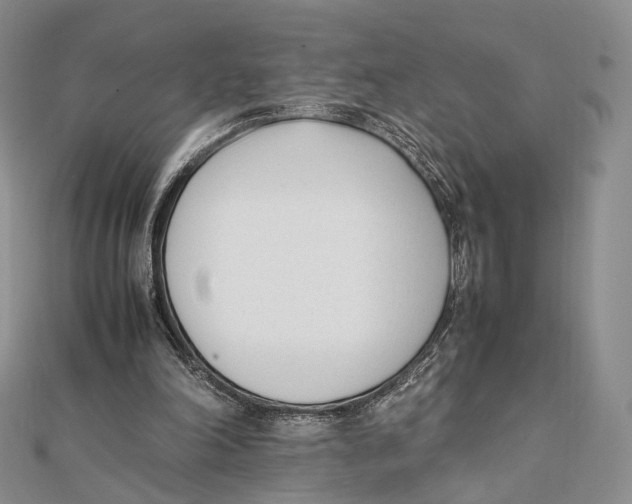 X0000112050198200909010949