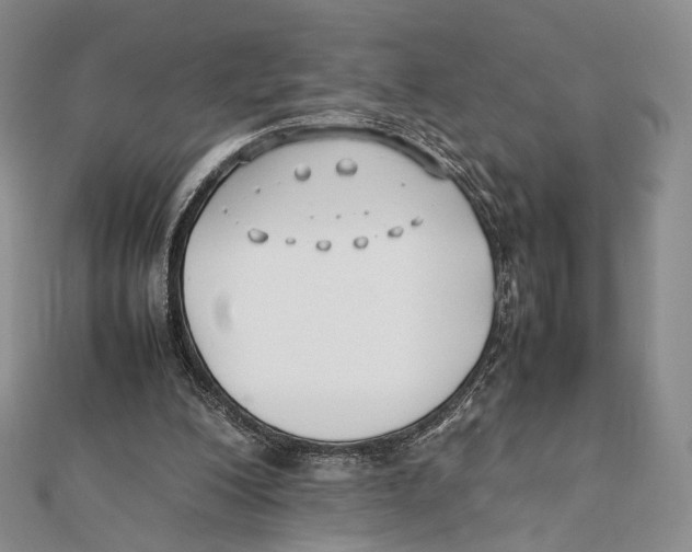 X0000112050200200909010949
