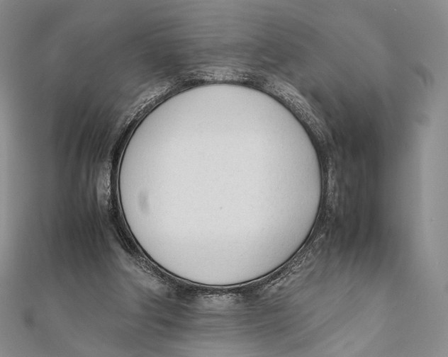 X0000112050202200909010949