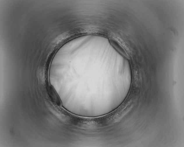 X0000112050203200909010949