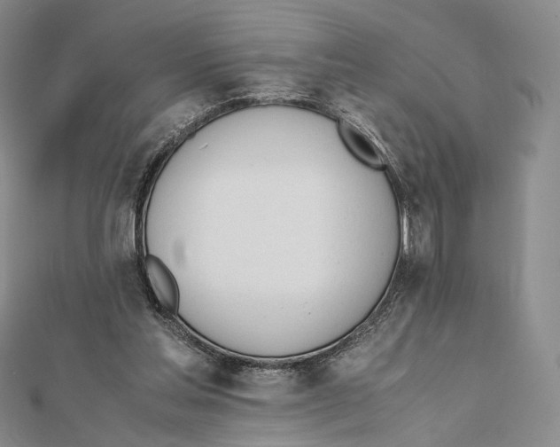 X0000112050205200909010949