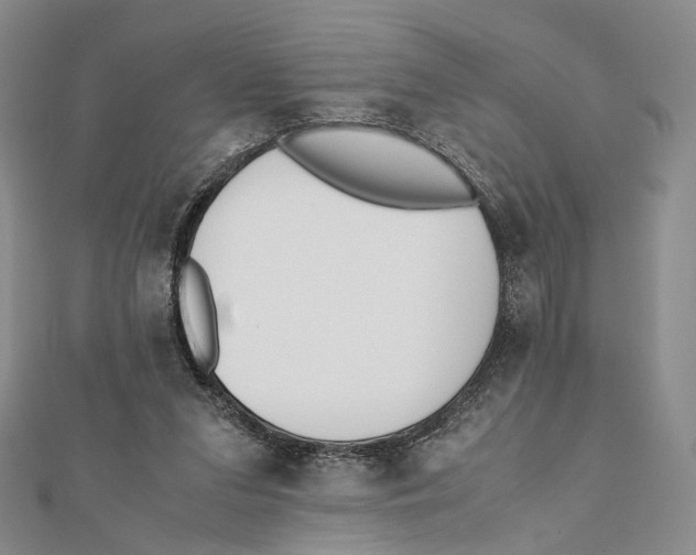 X0000112050207200909010949