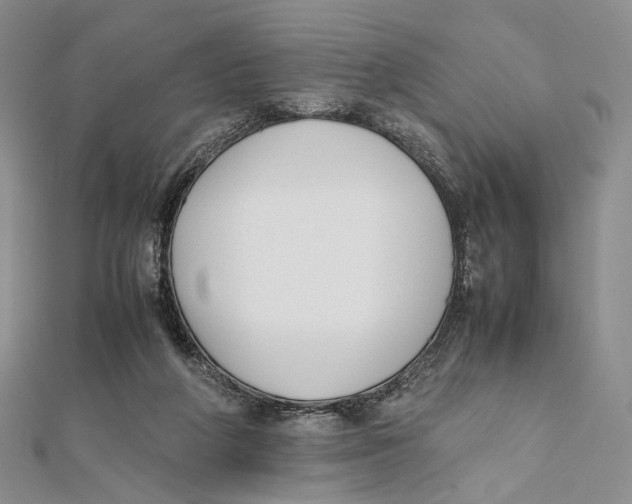 X0000112050210200909010949