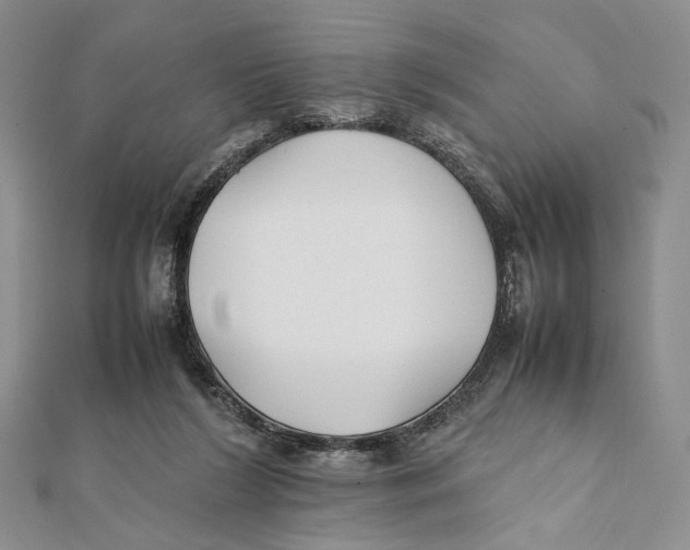 X0000112050212200909010949