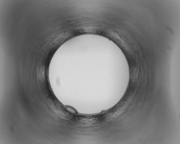 X0000112050213200909010949