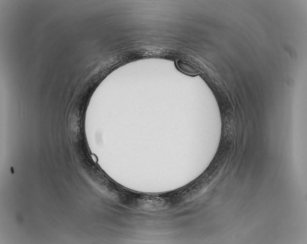 X0000112050215200909010949