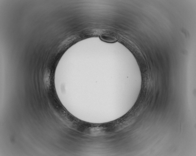 X0000112050216200909010949