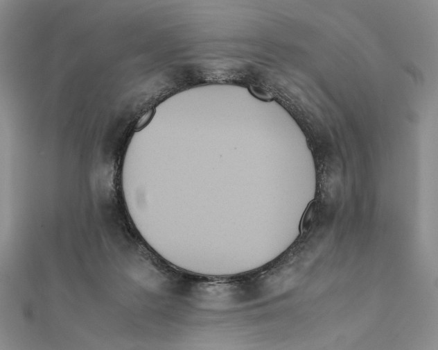 X0000112050219200909010949
