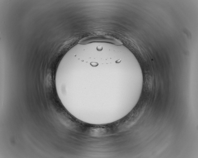 X0000112050220200909010949