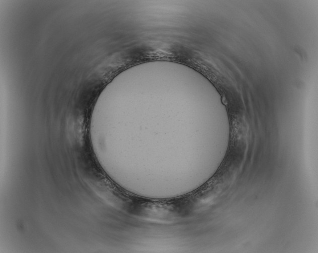 X0000112050223200909010949