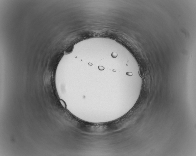 X0000112050225200909010949
