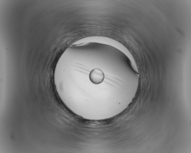 X0000112050229200909010948