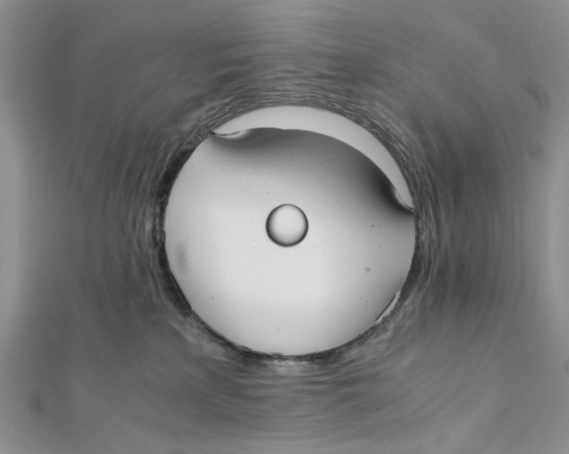 X0000112050233200909010948