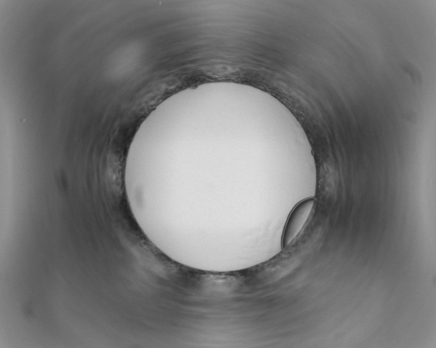 X0000112050234200909010948
