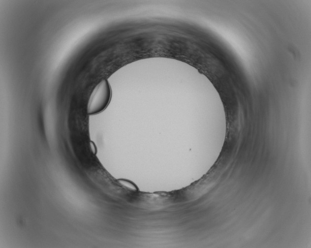X0000112050239200909010948