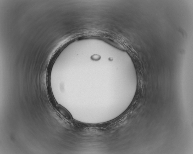 X0000112050244200909010948