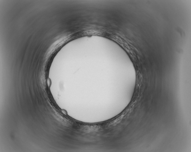 X0000112050245200909010948