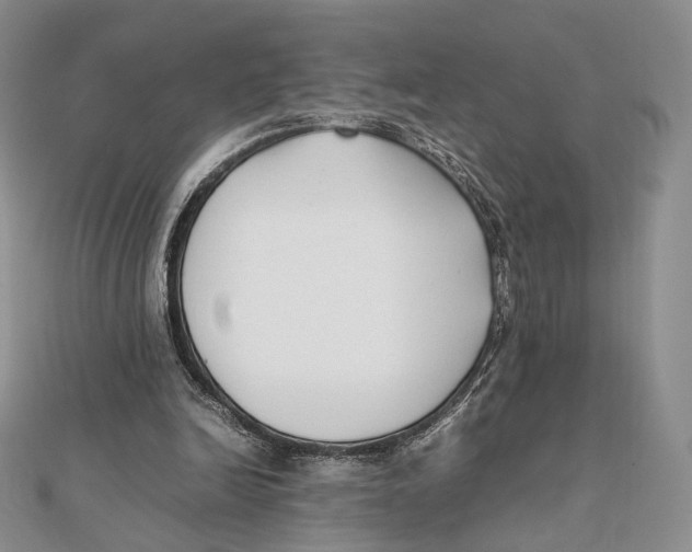 X0000112050246200909010948