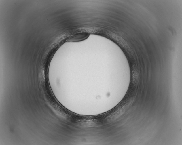 X0000112050254200909010948