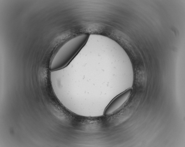 X0000112050260200909010948