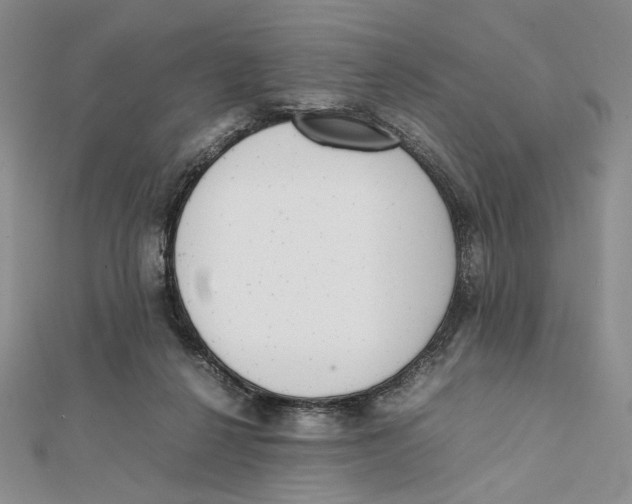 X0000112050264200909010948
