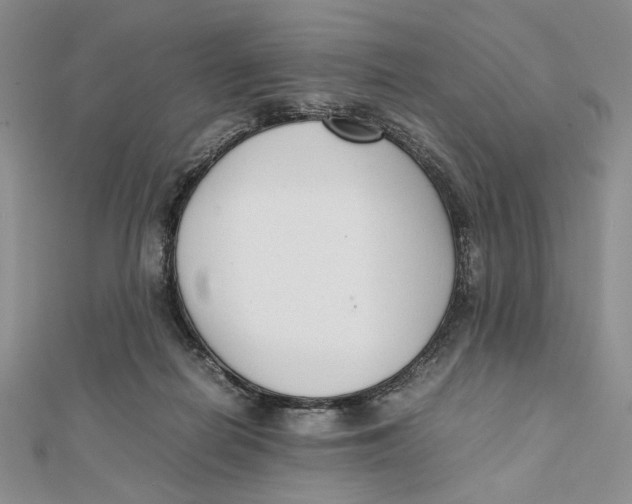 X0000112050266200909010948