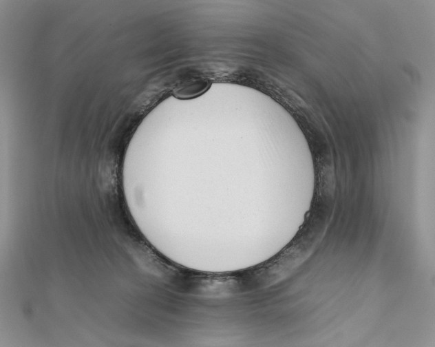 X0000112050274200909010948