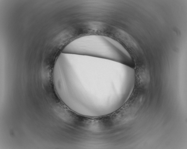 X0000112050276200909010948