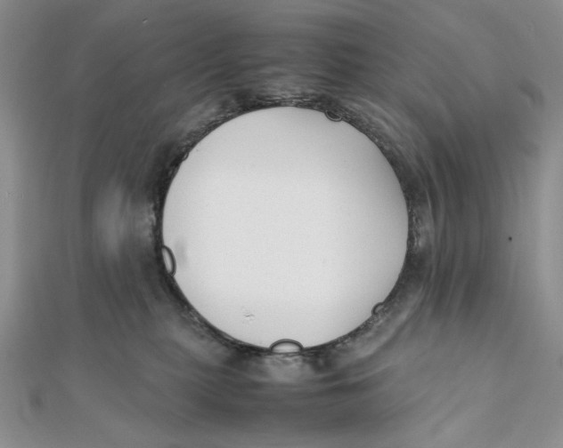X0000112050279200909010948