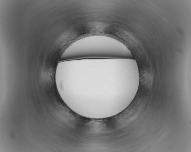 X0000112050280200909010948