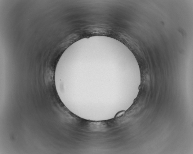 X0000112050281200909010948