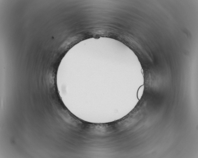 X0000112050282200909010948