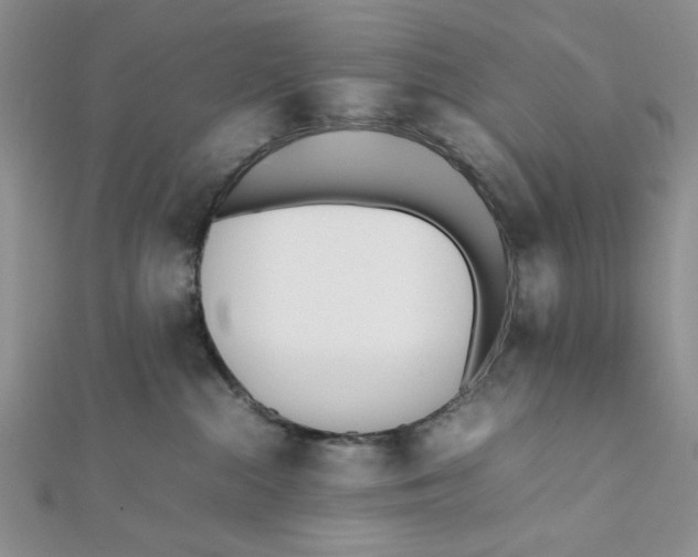 X0000112050284200909010948