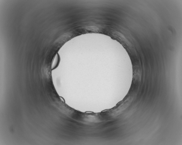 X0000112050285200909010948