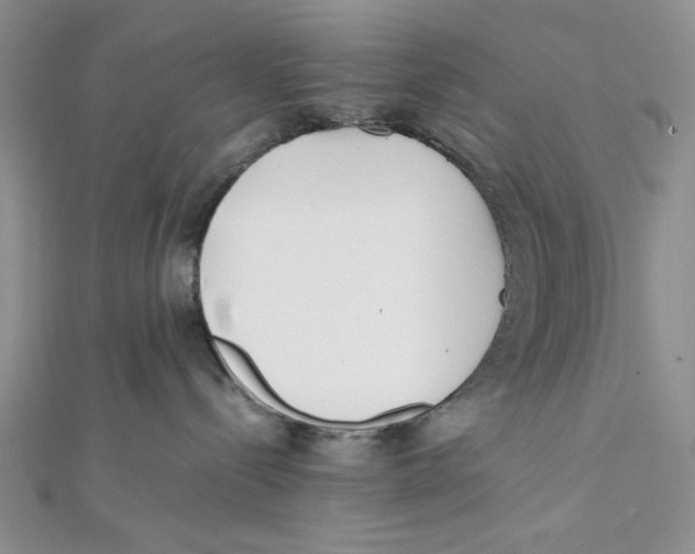 X0000112050288200909010948