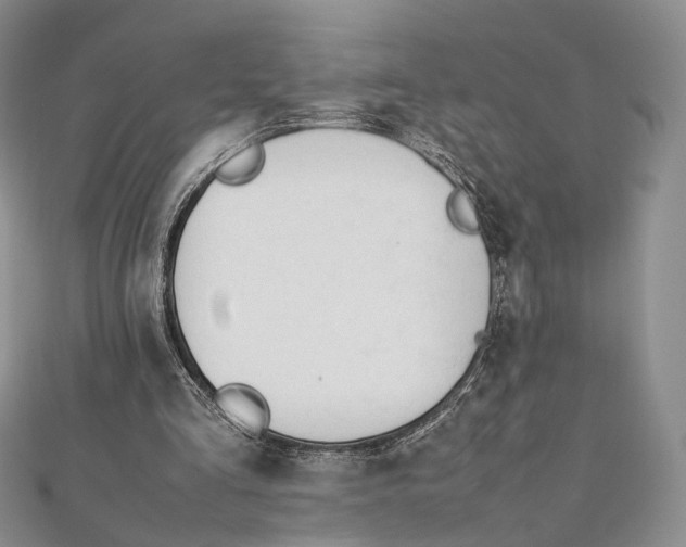 X0000112050293200909010948