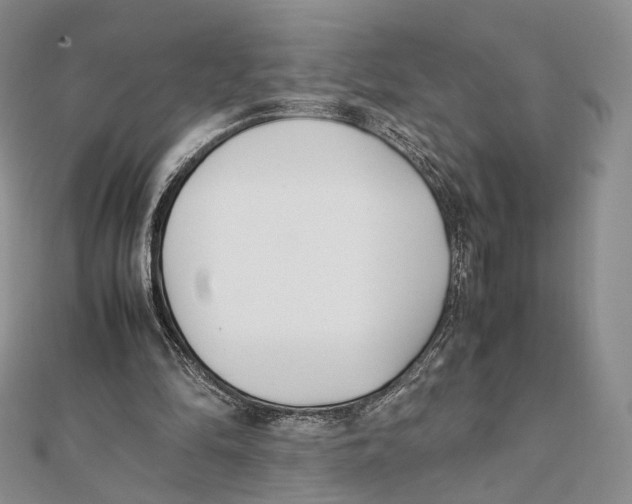 X0000112050294200909010948