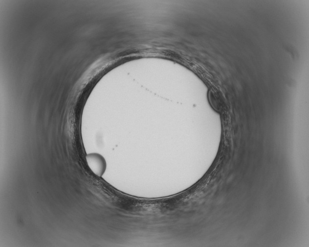 X0000112050295200909010948