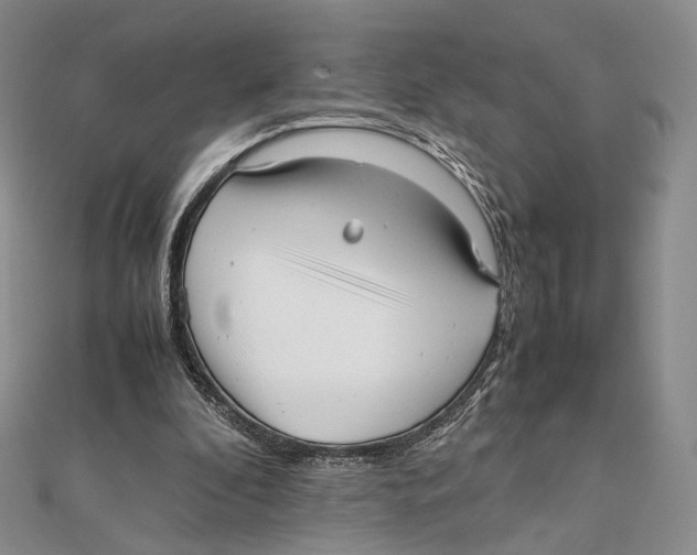 X0000112050296200909010948