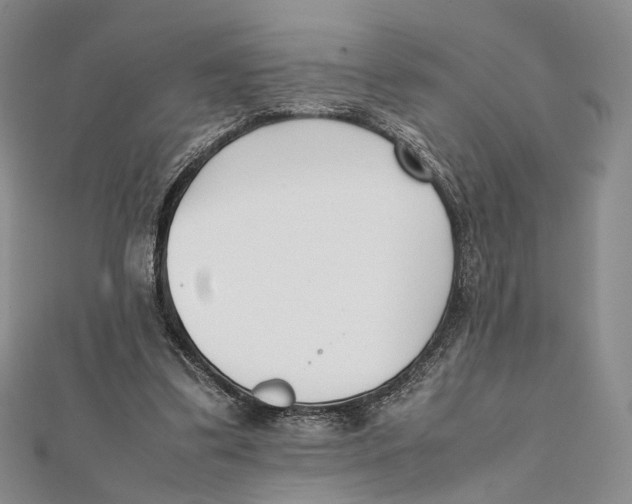 X0000112050299200909010948