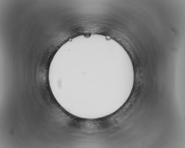 X0000112050305200909010947
