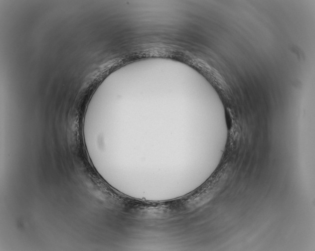X0000112050306200909010947