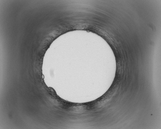 X0000112050307200909010947